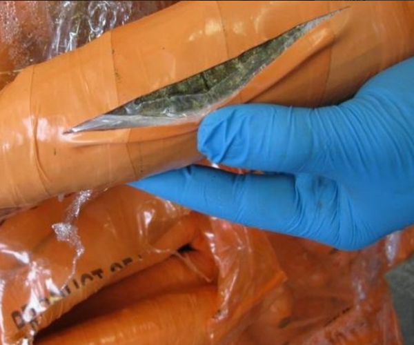 Weed in Fake Carrots: Officials Seize Nearly 2,500 Pounds of Marijuana