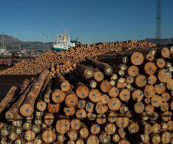 Lumber Touches Record With Lockdowns Spurring Renovation Revival