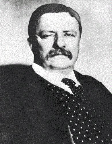 Theodore Roosevelt 