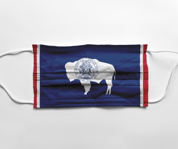 a surgical mask with a buffalo