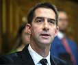 Sen. Cotton: 'Serious Concerns' on $95B Aid Bill