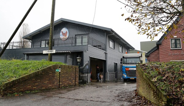 Bird Flu Strain in Netherlands Forces Killing of 150K Chickens