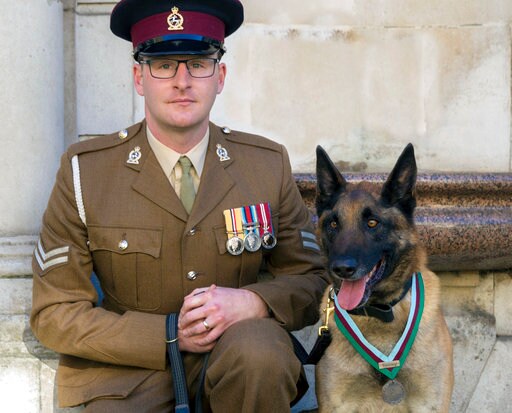 Military Dog Wins British Prize for Valor under Fire