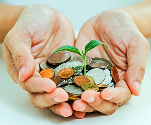 Watchdog Warns of 'Exploitation' Around Green Investments