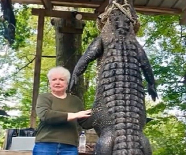 Grandmother Shoots Gator: Single-Shot Revenge for Eating Her Horse