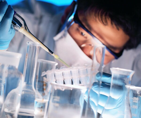 UK Gives Scientist OK to Genetically Modify Embryos