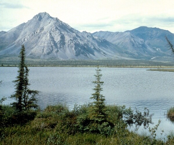 Trump Administration to Seek Bids on Arctic Oil Leases