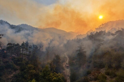 UN Teams Deploy to Syrian Coast as Wildfires Force Hundreds to Flee