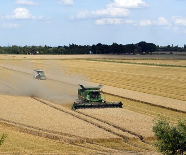 Climate Activists Turn to New Target: Wheat Farming