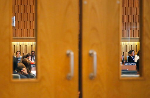 France and Qatar Get to Final of UNESCO Chief Vote