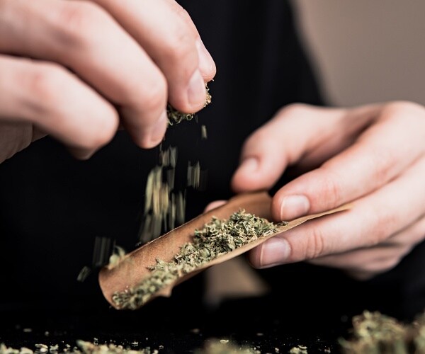 man rolling a marijuana blunt