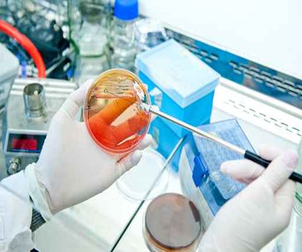 Napster Co-Founder Gives $250 Million for Cancer Research