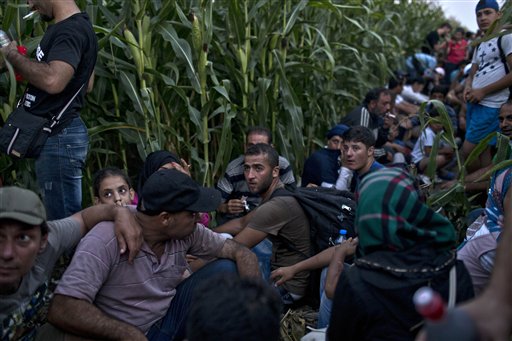 Migrants Surge across Balkans to Beat Hungary's Razor Fence
