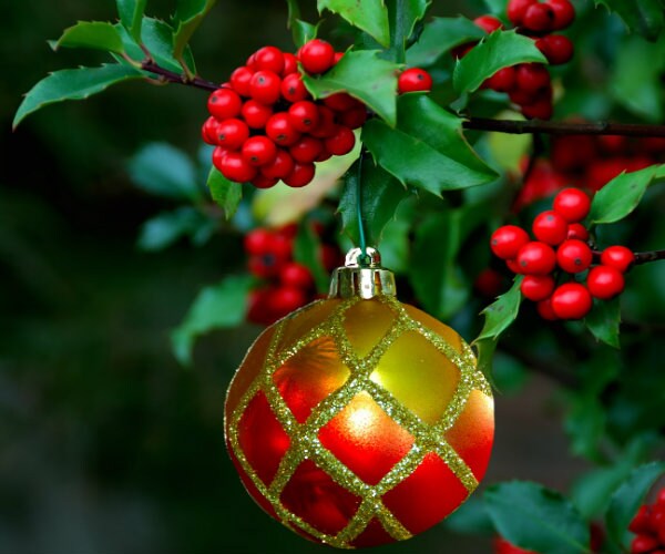 Gifts of the Magi, Other Christmas Symbols Show Health Benefits