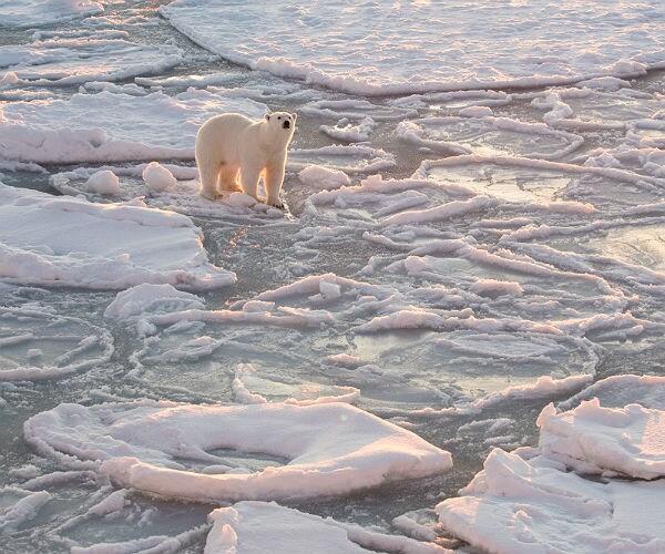 Storm Brings Warm Air to North Pole, Hitting 50 Degrees Above Normal