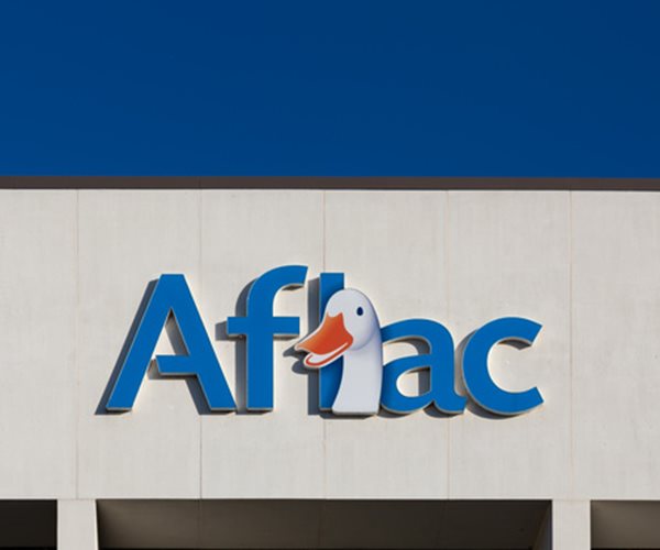 3 Quality Dividend Stocks for Compounding Income