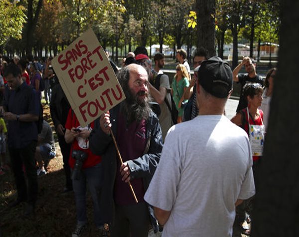 Bolsonaro Prepares to Send Army to Contain Amazon Fires