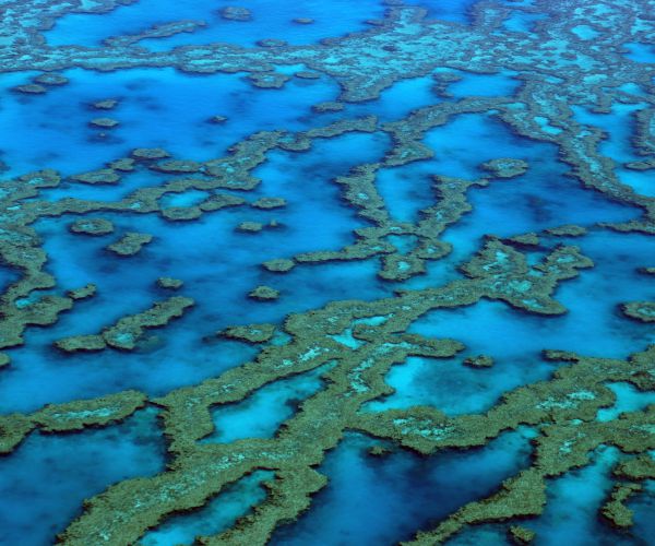 Coal Dust: Great Barrier Reef Leak Concerns Environmentalists