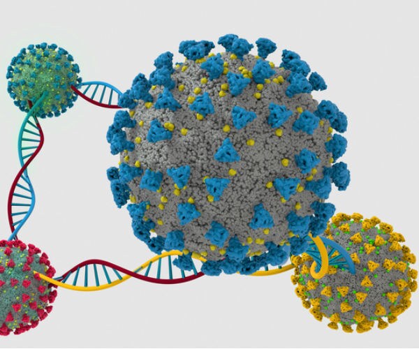 coronavirus covid nineteen mutation 