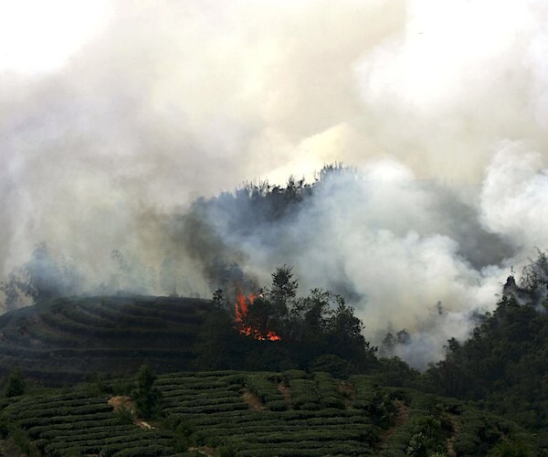 Forest fires burn on hills in china