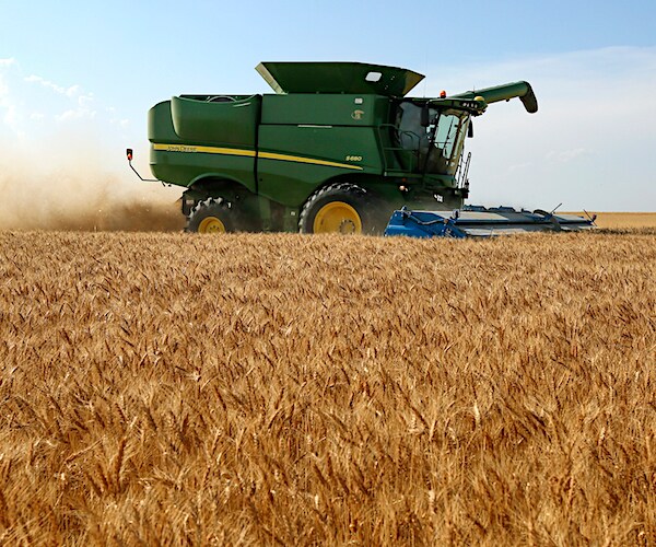 a combine plows a field of amber waves of grain