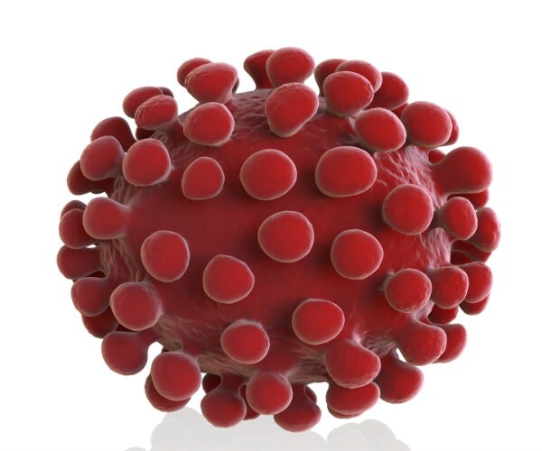 a computer illustration show the scientific look at coronavirus