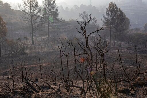 Wildfire Rages in Northeastern Spain, 53 Evacuated
