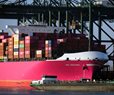 US Container Imports Drop 7.8% in November