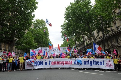 Anti-Same Sex Marriage Protests Break out in France