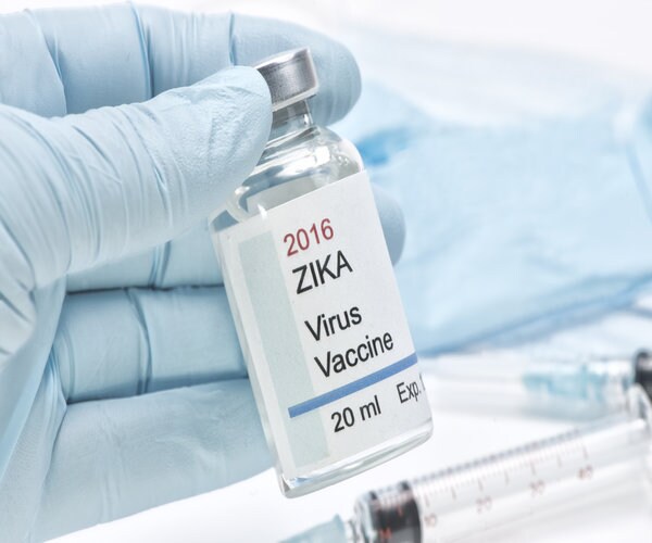 New Vaccine Protects Newborn Mice From Zika 