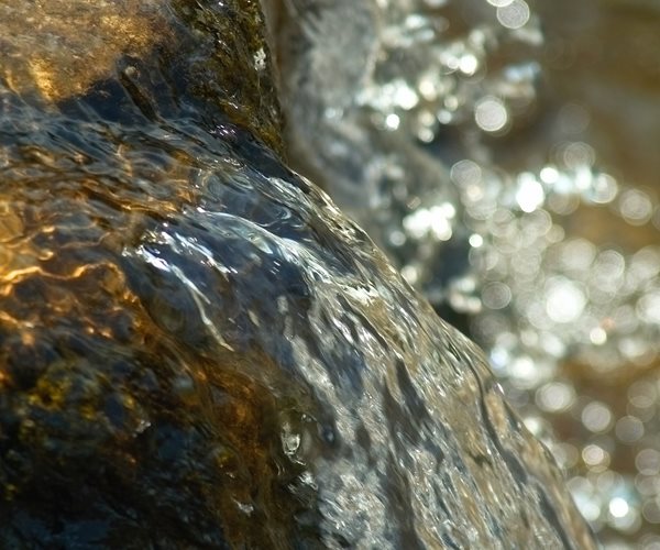 Trump Aims to Remove Waterway Protections, Aiding Developers