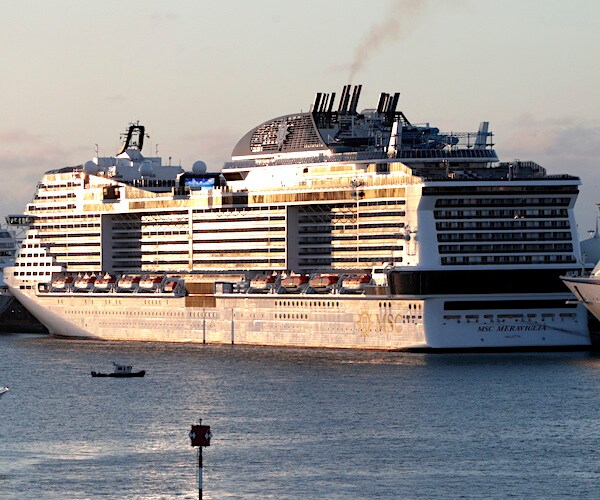 a cruise liner sits at a dock in florida