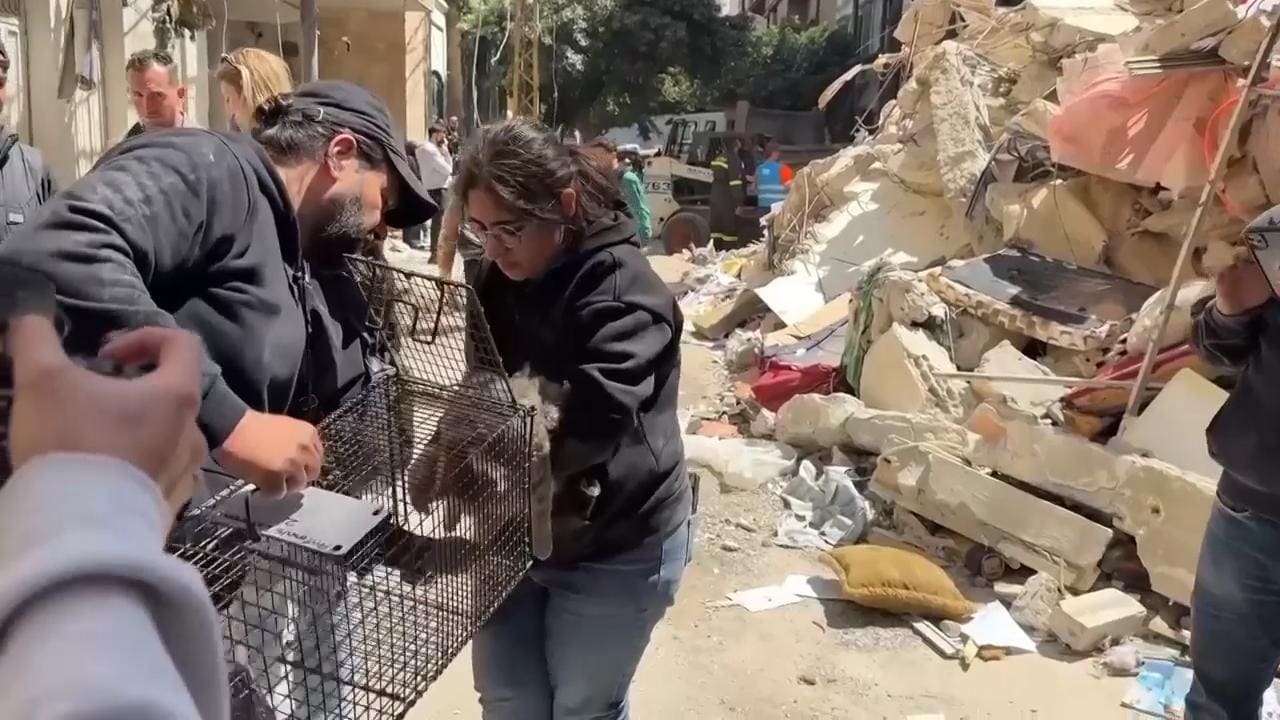 US and Iran Prepare for Ceasefire Talks as Netanyahu Authorizes Negotiations with Lebanon