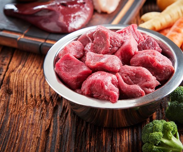 Raw Dog Food Dangerous for Humans and Canines