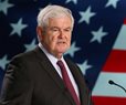 Newt Gingrich: 'Nationwide Movement' Must Address Violent Protests