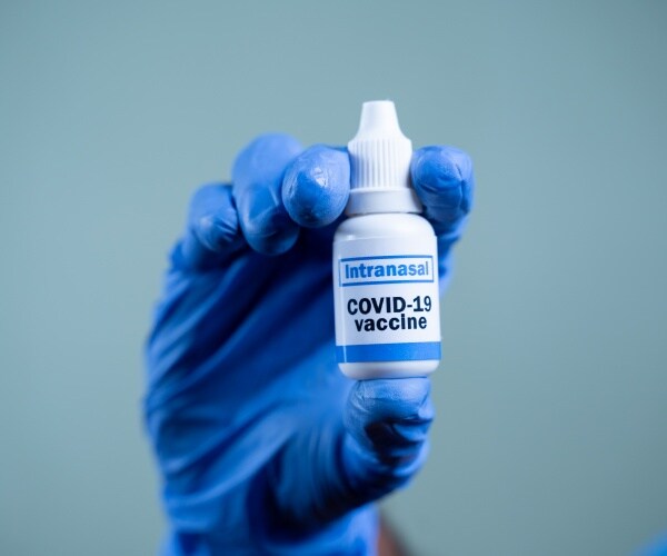 hand with surgical glove holding a nose spray labeled 'intranasal COVID-19 vaccine"