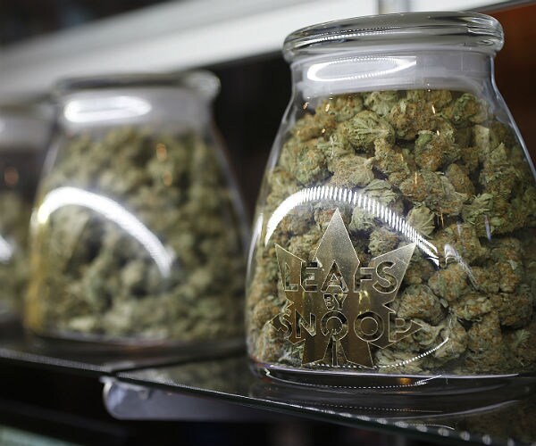 jars of marijuana sit on shelves