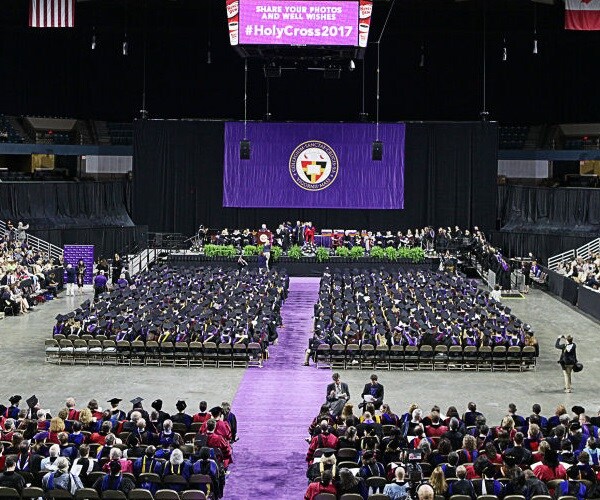 The Misguided Crusade Against Iggy the Crusader