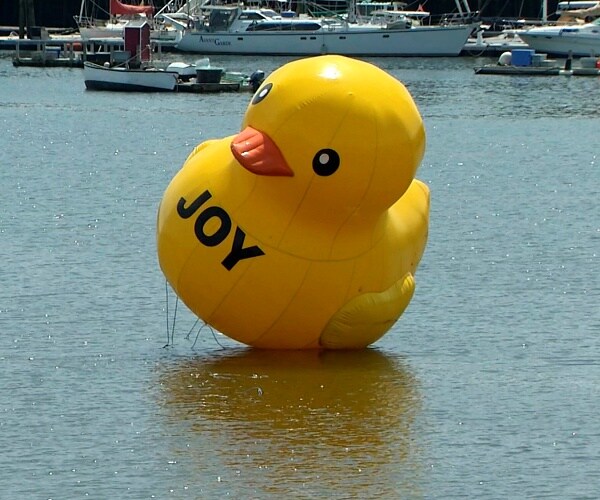 rubber duck floats in harbor