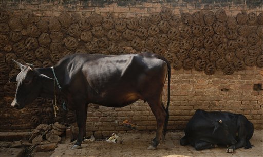 India Vows to Cut Carbon Intensity in Paris Pledge