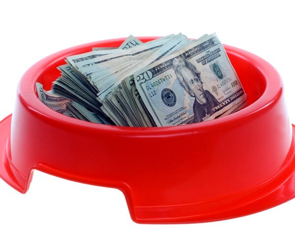 Shares of Online Pet Store Chewy Soar 60% in Debut