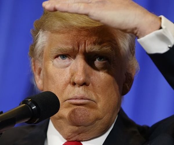 Trump Releases Traders' Animal Spirits