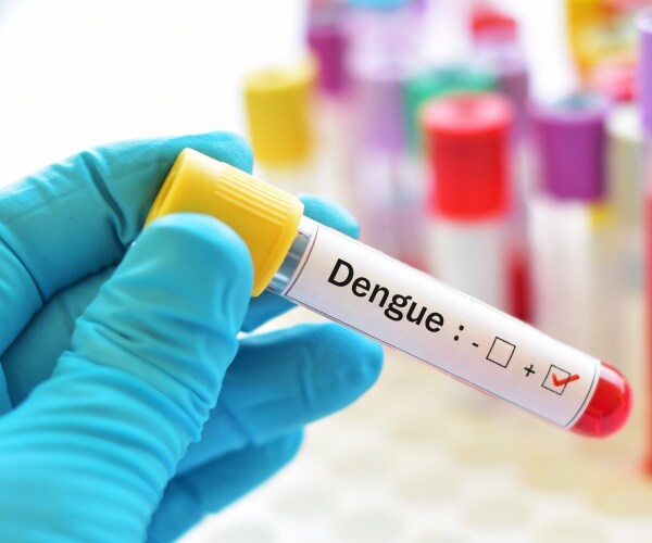 blood sample positive for dengue