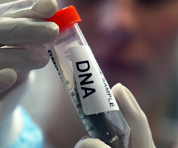 DNA Leads to Arrest of Florida Man on Voter Fraud Charges