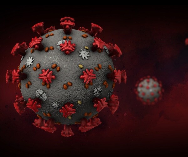 coronavirus cell