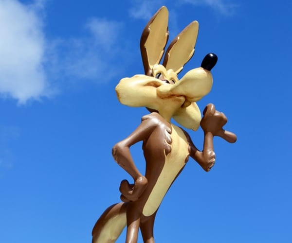 Protect Yourself From The Wile E Coyote Market