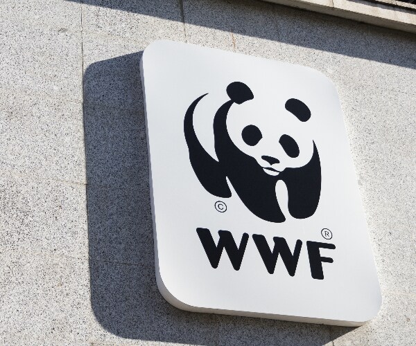 Russia Lists World Wildlife Fund, Others as Foreign Agents