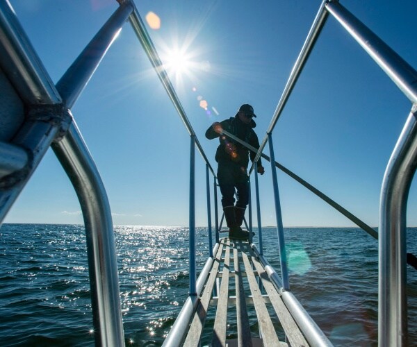 WaPo Article: 'Shark Week' Overrepresents White Men, is Negative to Sharks