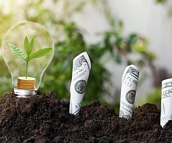 tree planting and growth up on money coin, stacked on light bulb with soil and dollars, banknote.