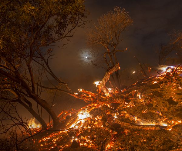 Wildfire-Weary Western US Coughs through Late-Season Surge
